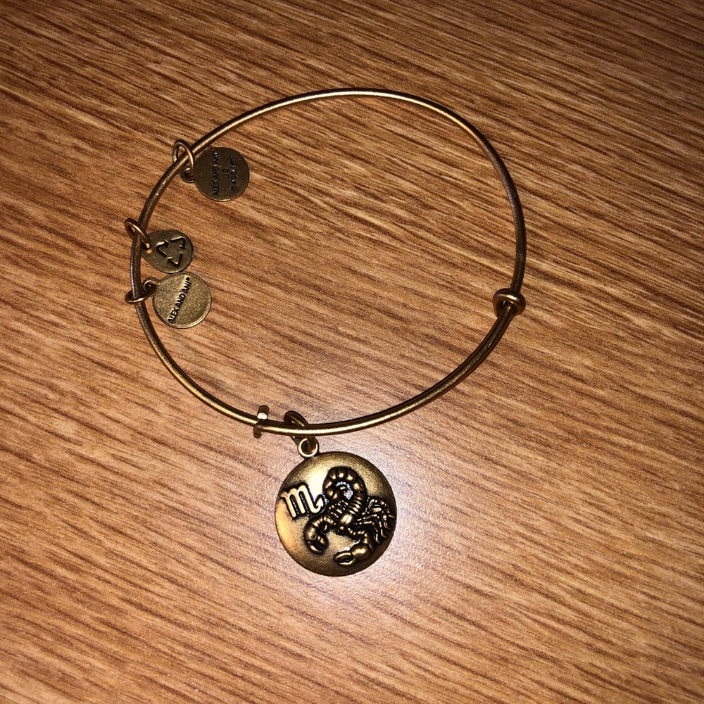 Alex and ani bracelet